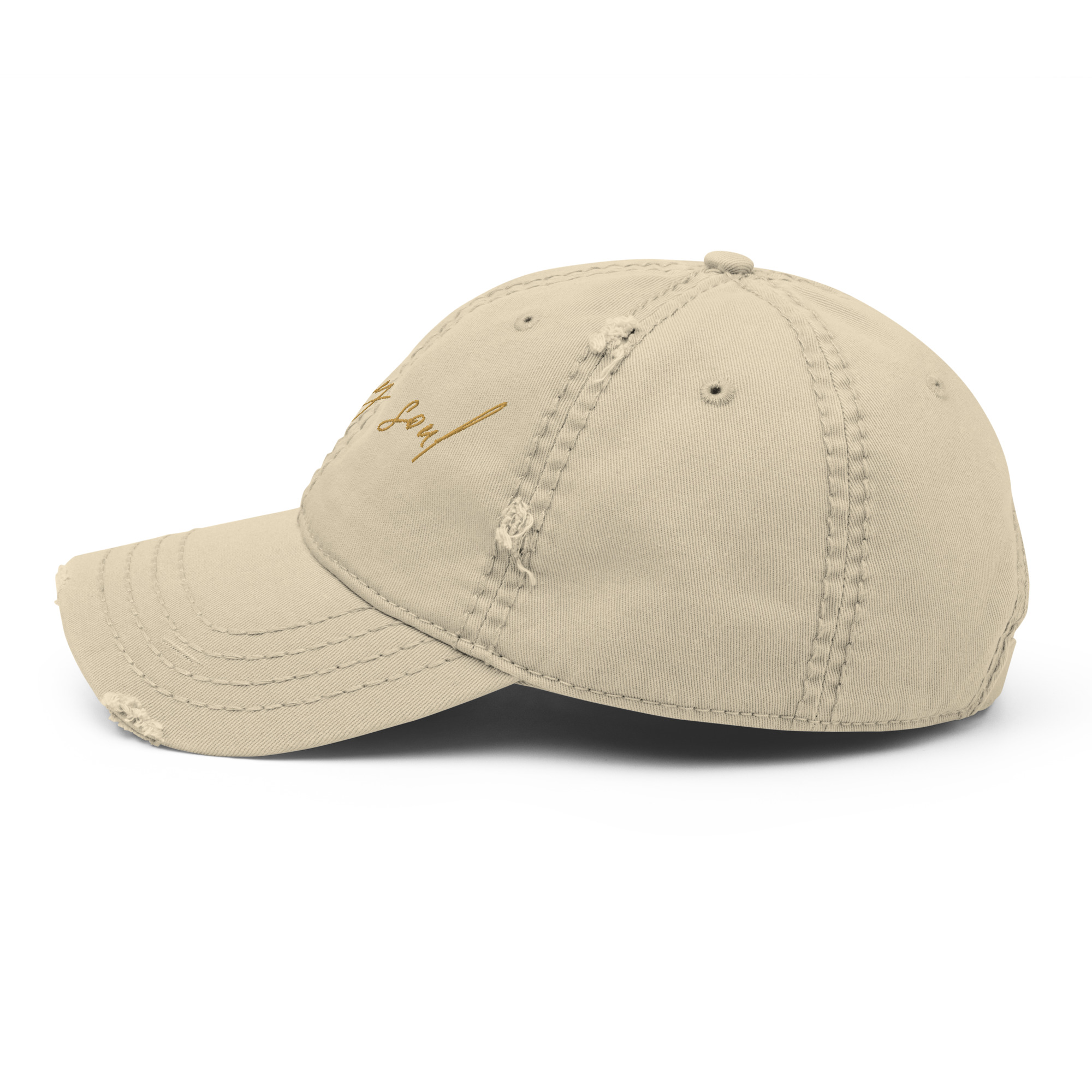 'Water My Soul' Distressed Dad Cap - Image 4